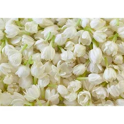 Jasmine: The Sensual Herb: Love Spells and Spiritual Awakenings